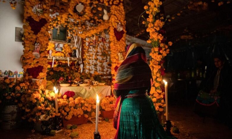 Noche de Muertos, Sectur