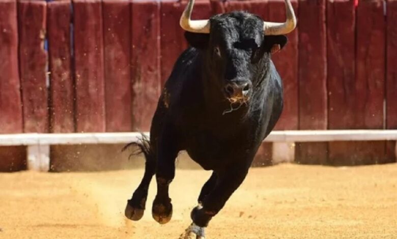 corridas de toros