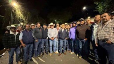 SADER, productores de maíz