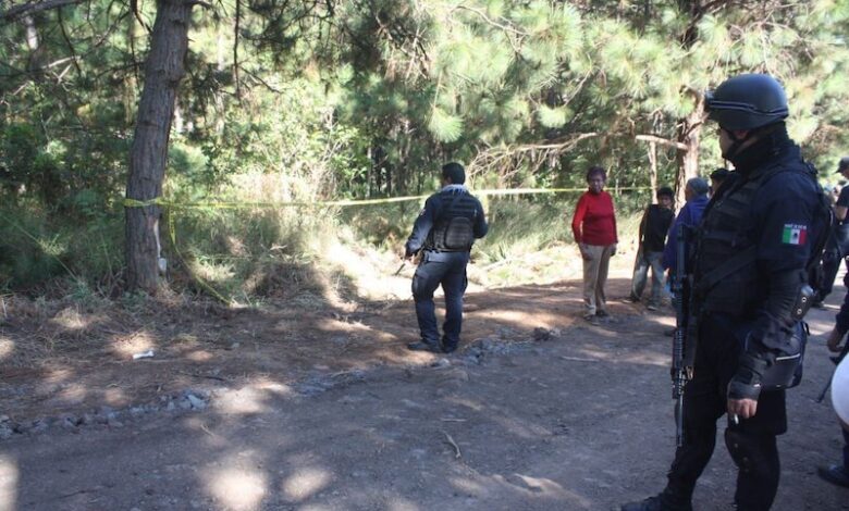 Zona acordonada en el bosque