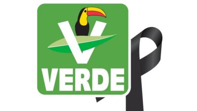 Carlos Manzo, Homicidio, PVEM