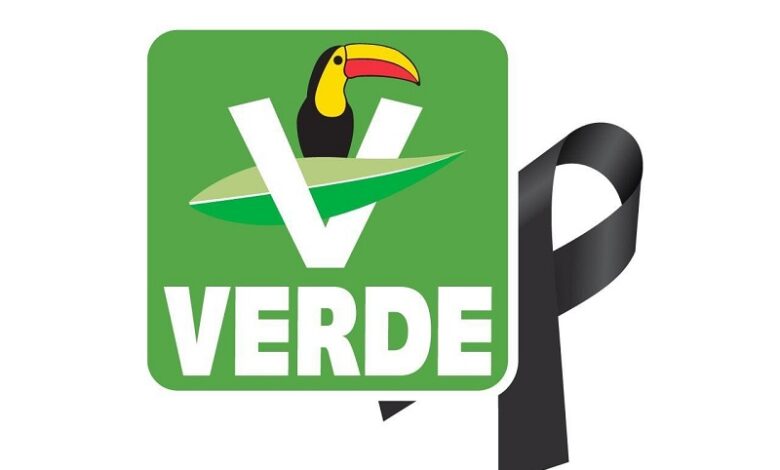 Carlos Manzo, Homicidio, PVEM