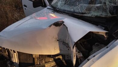 Protección Civil, Michoacán