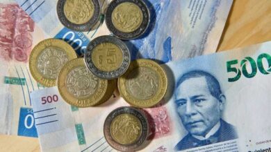 ahorro voluntario, trabajadores informales