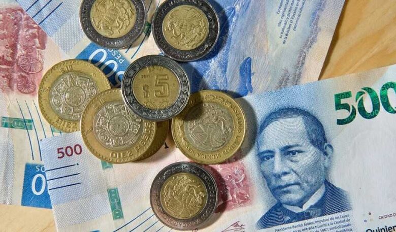 ahorro voluntario, trabajadores informales