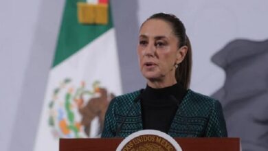 Claudia Sheinbaum, Michoacán, seguridad