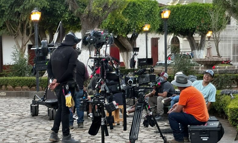 Cofilmich, Sectur