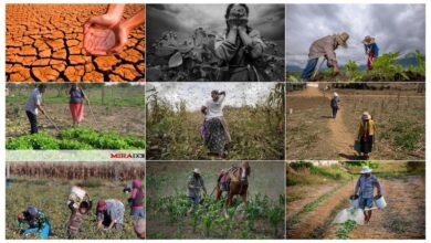 Peligro inminente en el campo