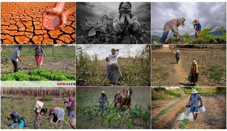 Peligro inminente en el campo