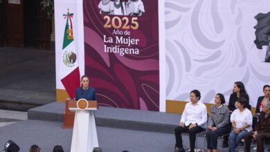 Claudia Sheinbaum, Plan Michoacán por la Paz y la Justicia
