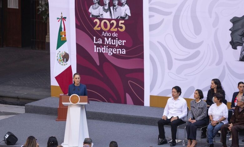 Claudia Sheinbaum, Plan Michoacán por la Paz y la Justicia