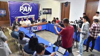 Plan Michoacán, PAN