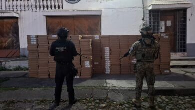 Ejército Mexicano, operativo Paricutín