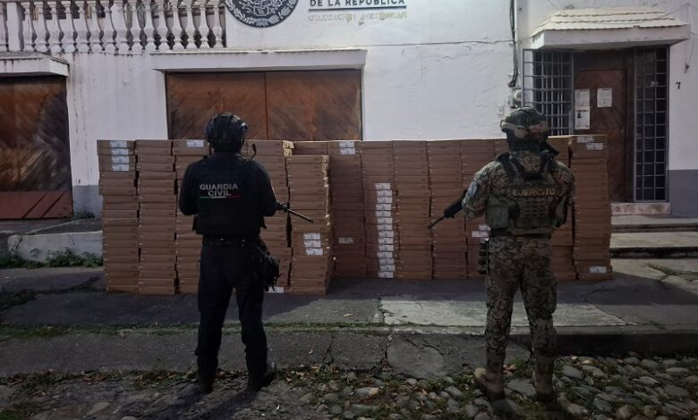 Ejército Mexicano, operativo Paricutín