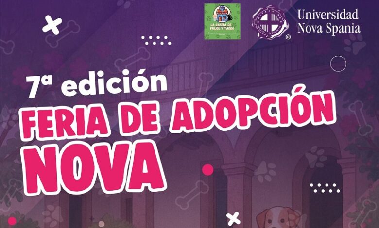 adopciones, bienestar animal, Morelia