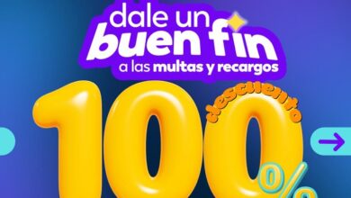 SEDUM, Buen Fin 2025