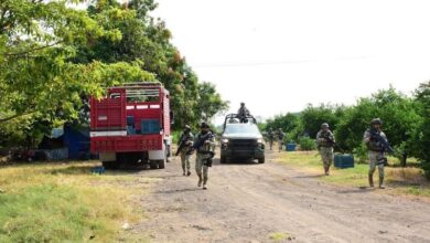 Ejército patrullando en huerta de limón