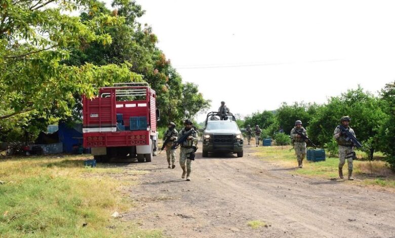 Ejército patrullando en huerta de limón
