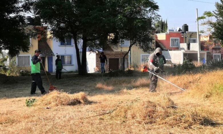 Jornada de limpieza en Morelia
