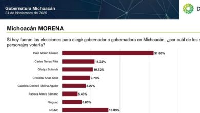 Demotáctica, Raúl Morón, encuesta