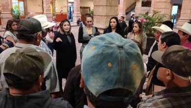 Congreso de Michoacán, Brissa Arroyo