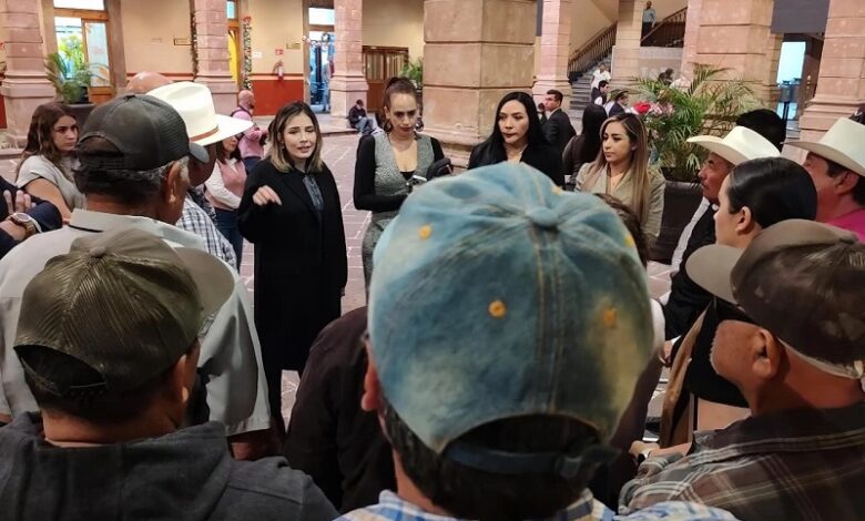 Congreso de Michoacán, Brissa Arroyo