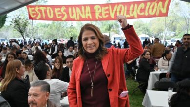 Fabiola Alanís, Morena