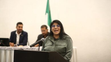 Vanessa Caratachea, PAN