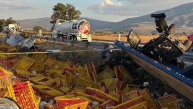 Vuelca tráiler con pollos