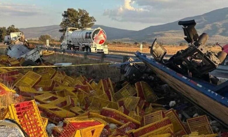 Vuelca tráiler con pollos