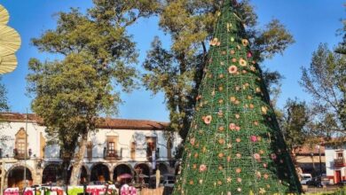 Árbol Navideño en Pátzcuaro