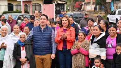 Plan Michoacán, SESNSP