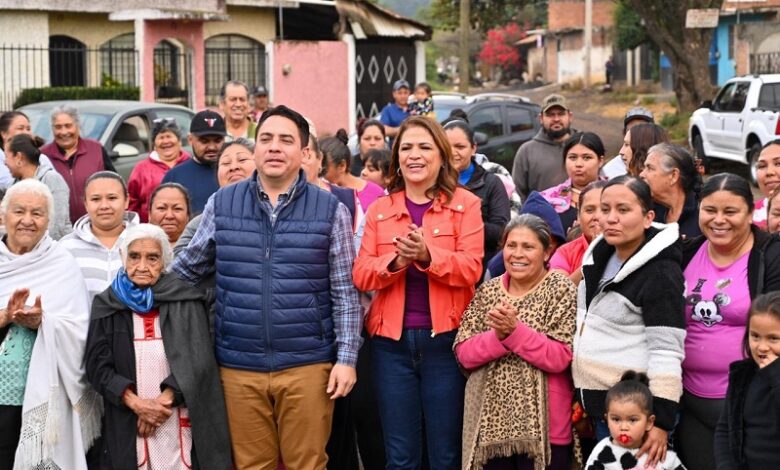 Plan Michoacán, SESNSP