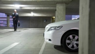 Querétaro, fiestas decembrinas