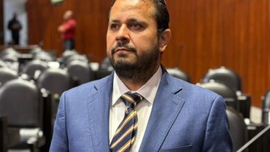 Armando Tejeda Cid, PAN, Plan Michoacán