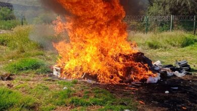 FGR, incineración, narcóticos