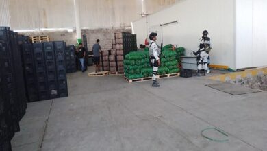 Seguridad, Michoacán, Operativos, Detenidos