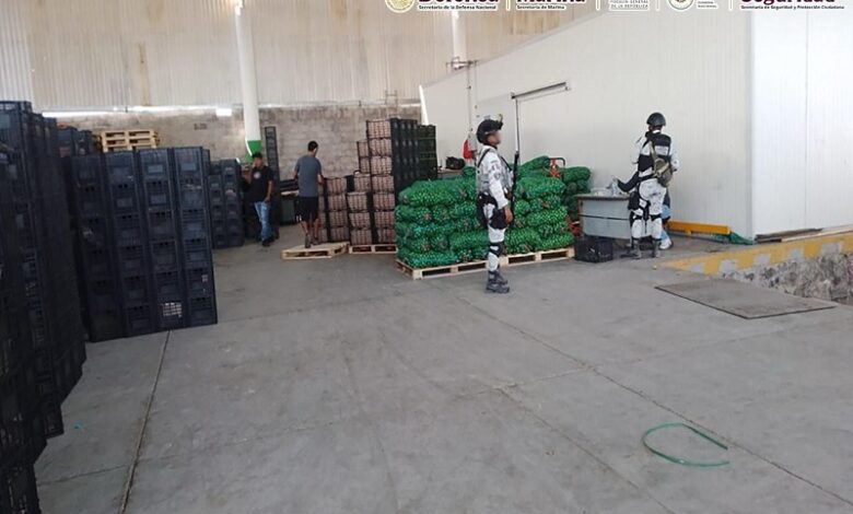 Seguridad, Michoacán, Operativos, Detenidos