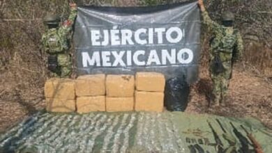 Decomiso, Narcotráfico, Morelia
