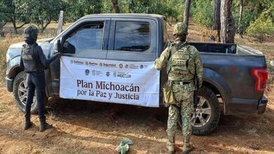 Michoacán, Operativos, Detenidos, Narcotráfico