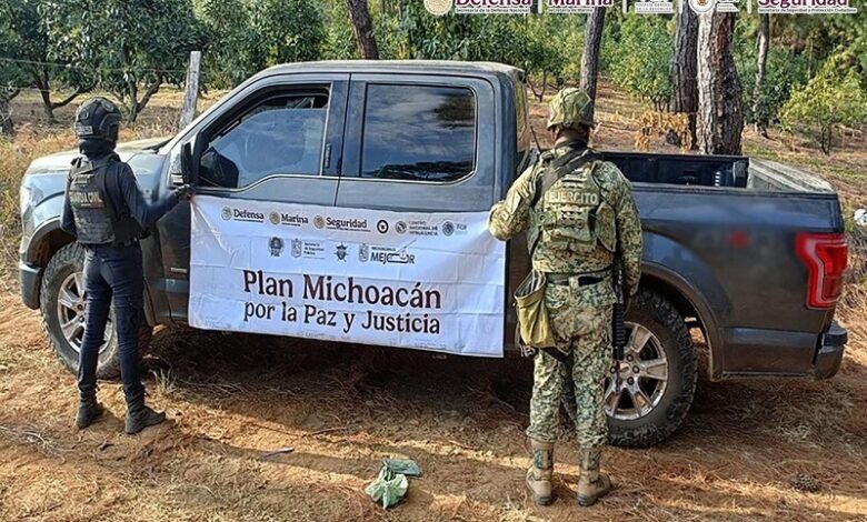 Michoacán, Operativos, Detenidos, Narcotráfico