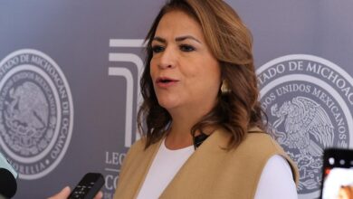 Fabiola Alanís, Plan Michoacán