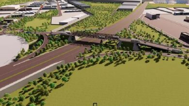 Michoacán, Zinapécuaro, Parque Bajío