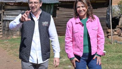 Congreso de Michoacán, Fabiola Alanís