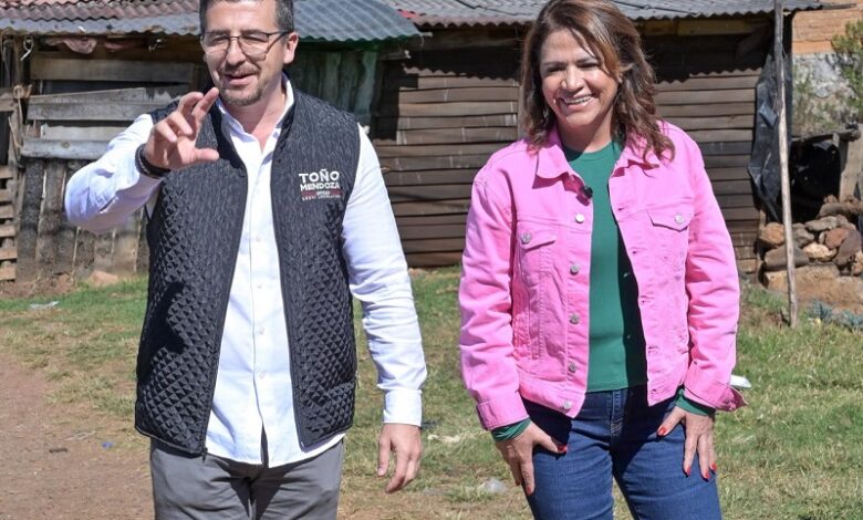 Congreso de Michoacán, Fabiola Alanís