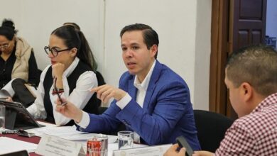 Alfredo Anaya, Congreso de Michoacán