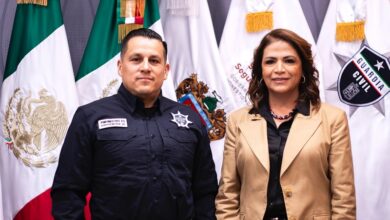 Congreso de Michoacán, Fabiola Alanís, Seguridad Pública