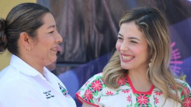 Brissa Arroyo, PRD, Congreso de Michoacán