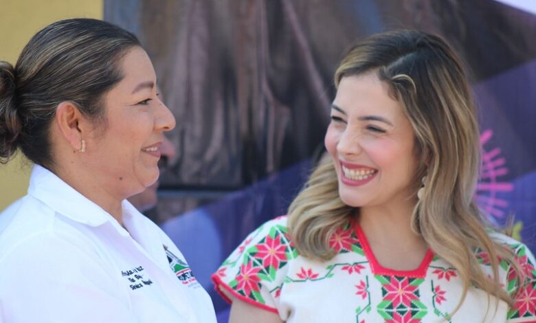 Brissa Arroyo, PRD, Congreso de Michoacán