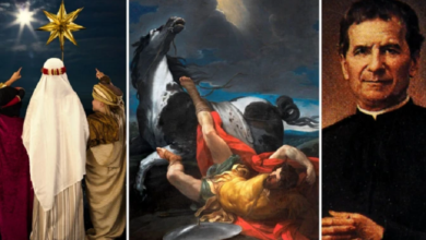 Calendario litúrgico, Iglesia Católica, Santos